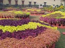 अकोल्याच्या डॉ. पंजाबराव देशमुख कृषी विद्यापीठात २७ डिसेंबरपासून भव्य कृषी प्रदर्शन