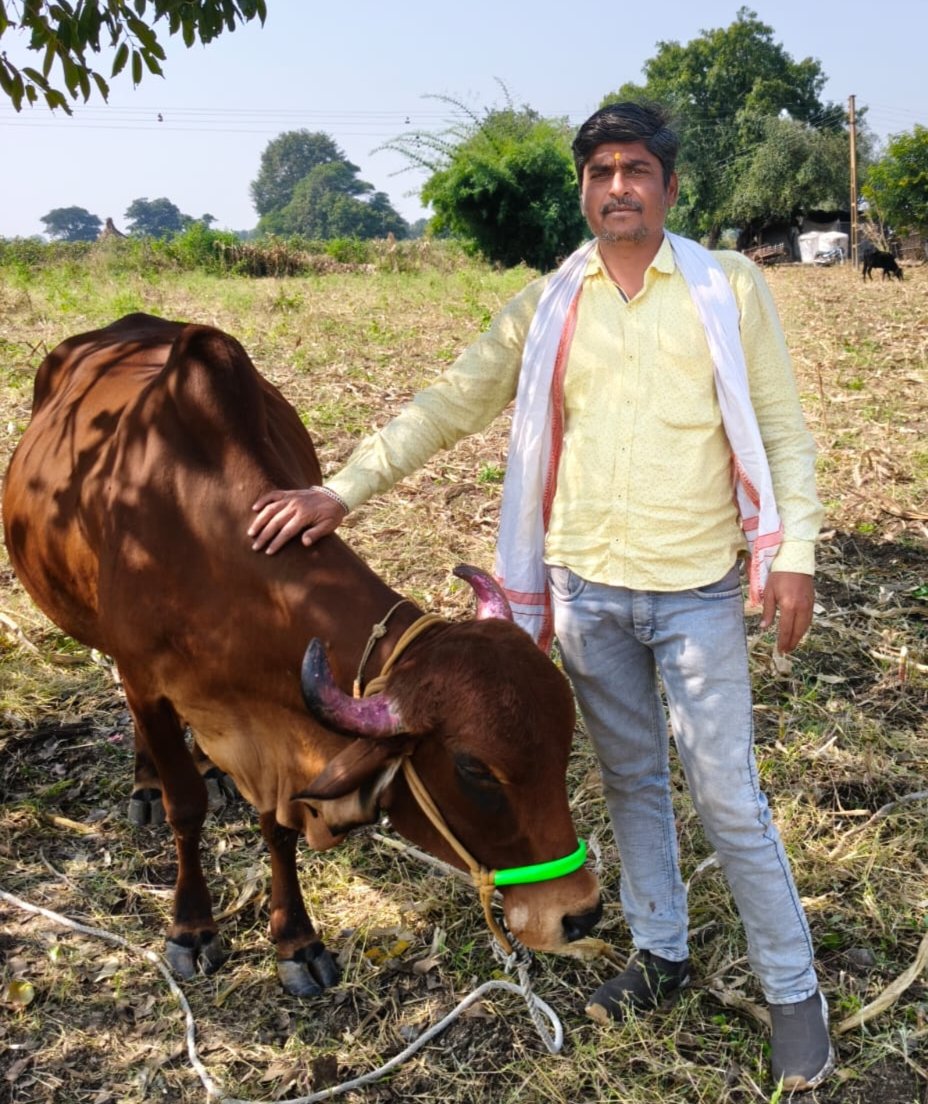 दुग्धव्यवसायाला व्याजपरताव्याचे 'अमृत'; सागर सोनटक्के यांना ४९ हजार ७०० रुपयांचा लाभ