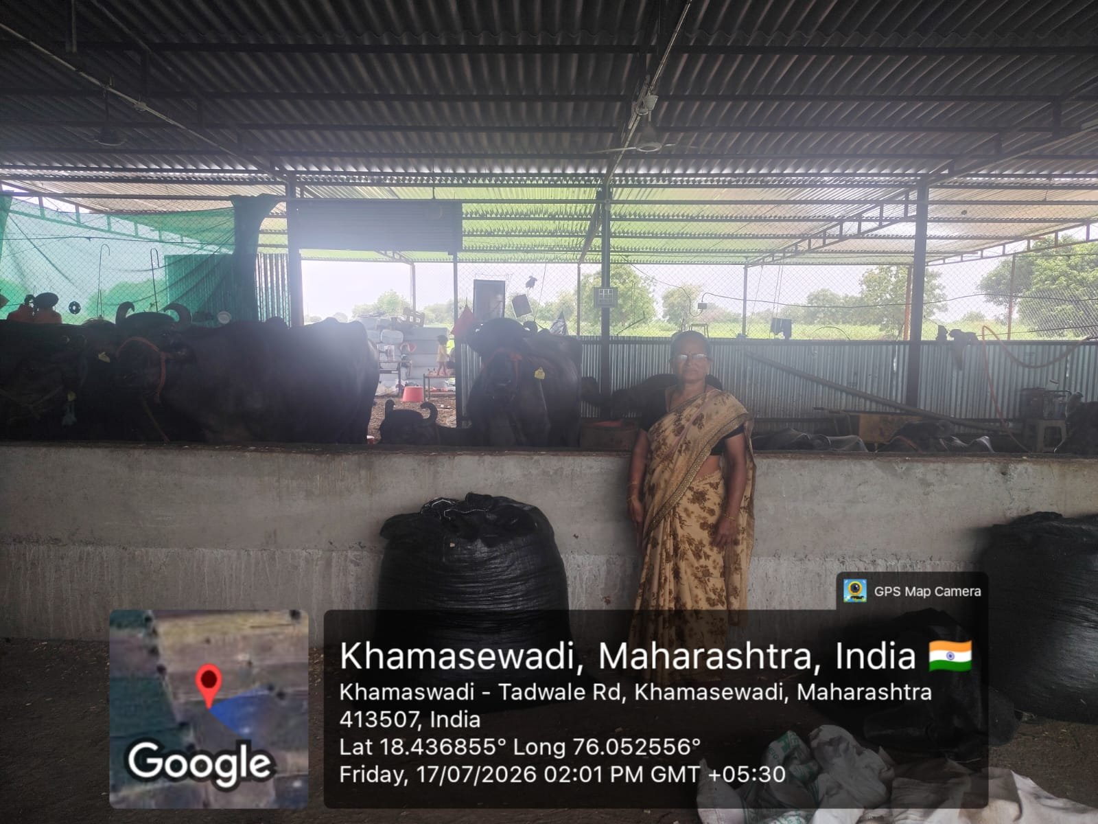 जिद्द, मेहनत आणि आत्मविश्वासाच्या बळावर उभारलेला दुग्ध व्यवसाय