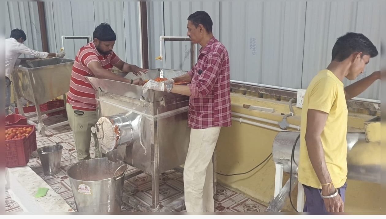 'अमृत'च्या व्याजपरतावा योजनेचा लाभ घेऊन उभारला टोमॅटो सॉस उत्पादनाचा उद्योग