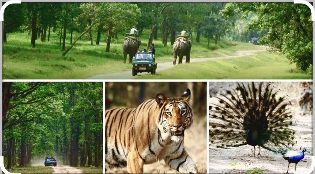 धान की खुशबू से पहचान बनानेवाला गोंदिया