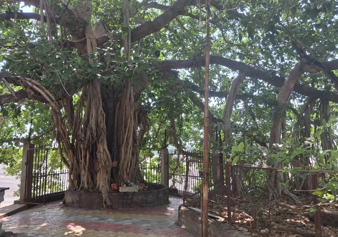 महर्षी कण्व ऋषींचा प्राचीन आश्रम आणि गुंफा  अतिरिक्त फोटो