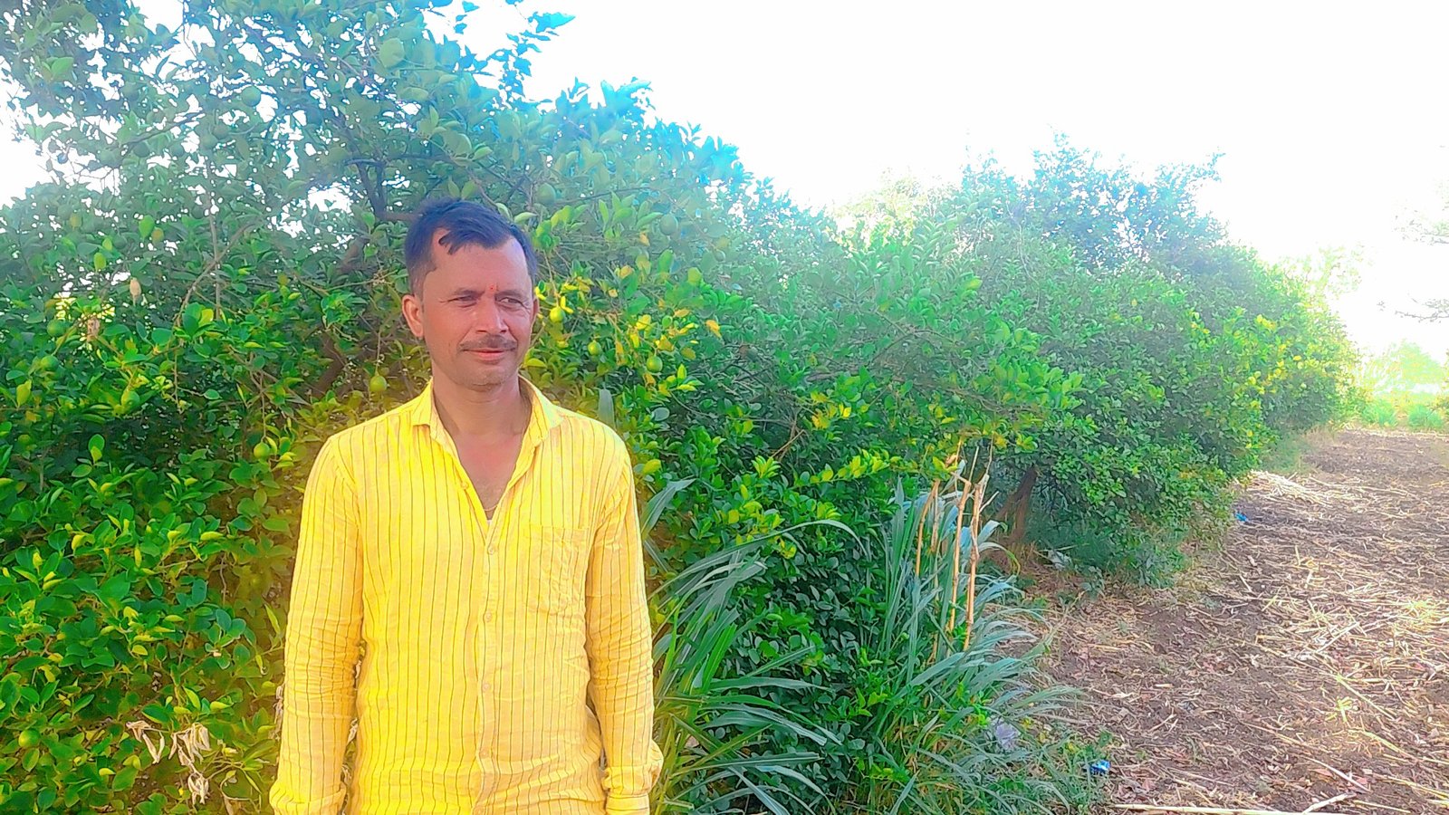 परिवर्तनातून समृद्धीकडे... जालन्यातील शेतकरी भास्कर जोशी यांची यशोगाथा अतिरिक्त फोटो