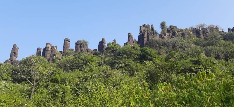 पन्हाळा परिसरातील दगडी स्तंभांचे अनोखे विश्व - निसर्गाचा लाखो वर्षांचा चमत्कार 