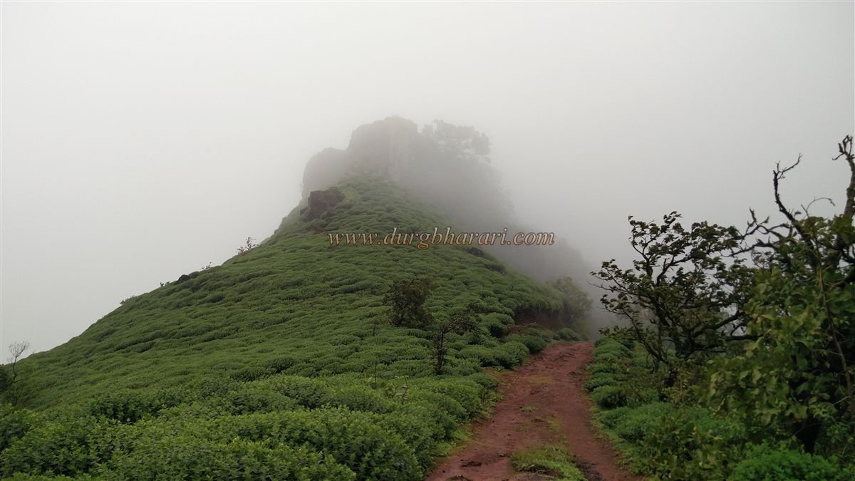 निसर्गसौंदर्याने नटलेला किल्ले पारगड (कलानंदीगड) चंदगड अतिरिक्त फोटो