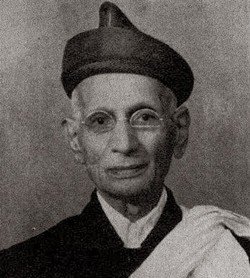 ना. गो. चापेकर