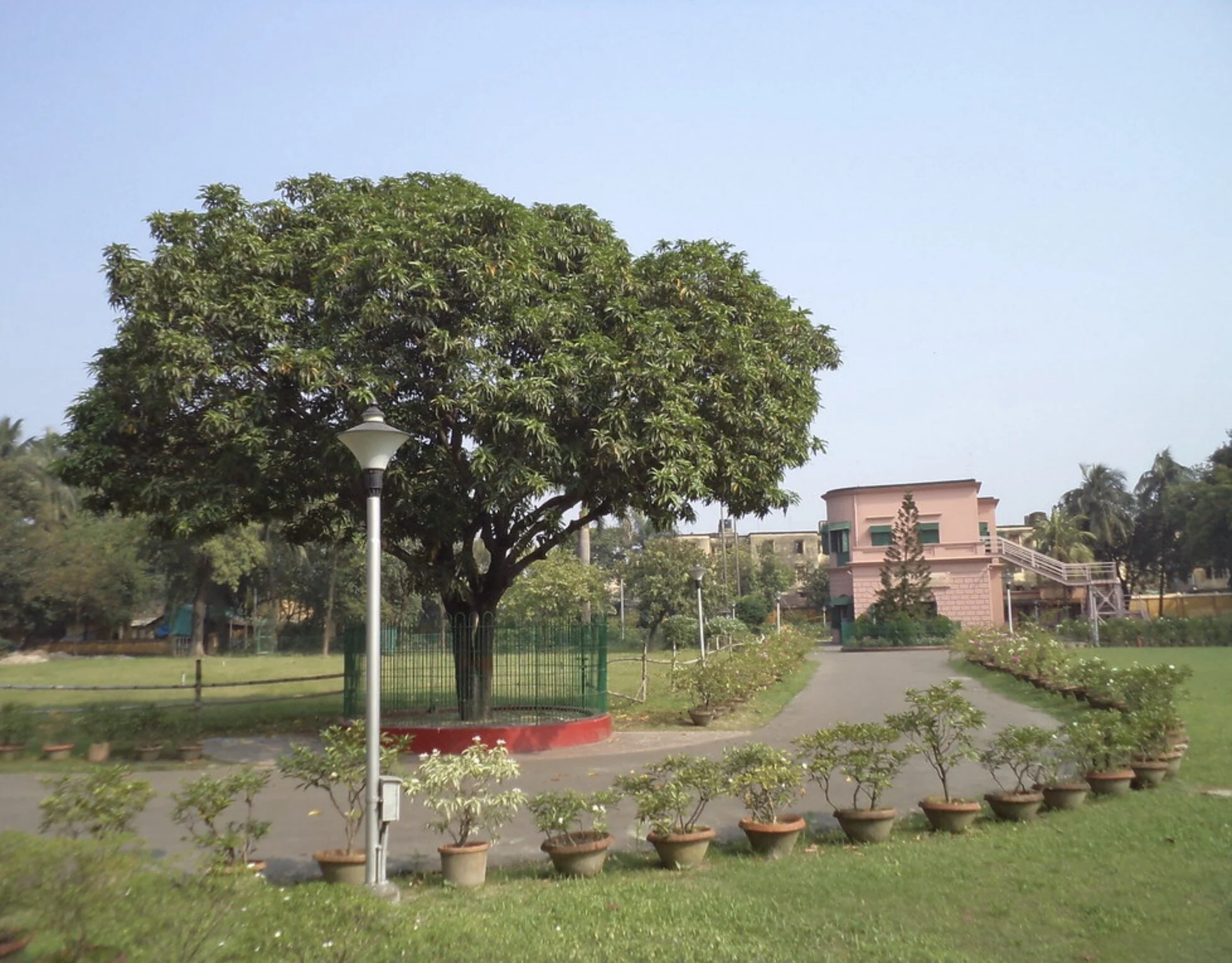 गुरुकृपेच्या साक्षात्काराचा प्रत्यय देणारा कल्पतरू दिन अतिरिक्त फोटो