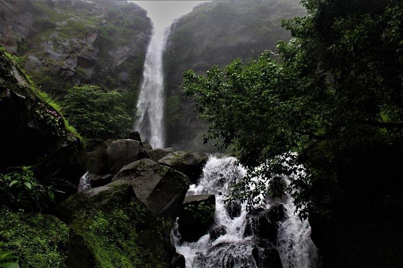 धुक्याची दुलई, धबधब्यांची बरसात; पुण्यातील ताम्हिणी घाटाचे पावसाळी रूप पाहण्यासाठी पर्यटकांची गर्दी