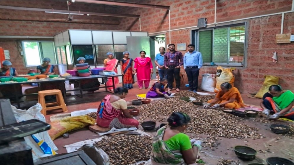 काजूप्रक्रियेतून साडेसहा लाखांची उलाढाल; रत्नागिरी जिल्ह्यातील महिलांच्या गटाची यशोगाथा