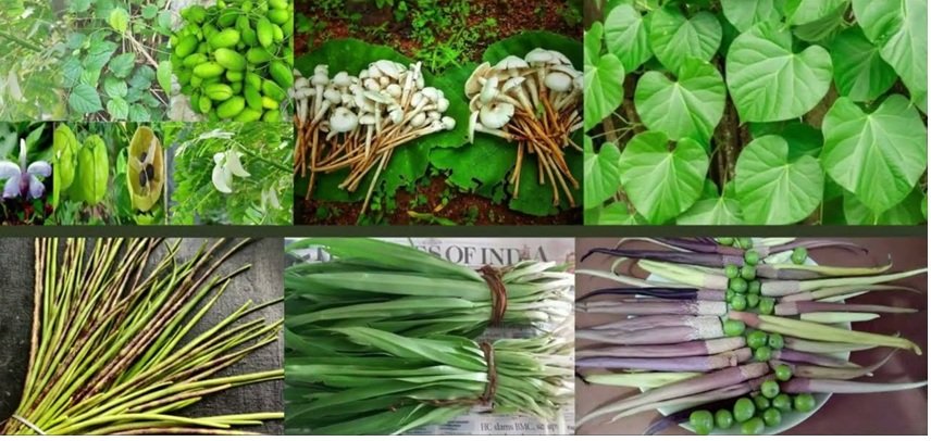 पावसाळा आला, रानभाज्यांची चंगळ सुरू! अतिरिक्त फोटो