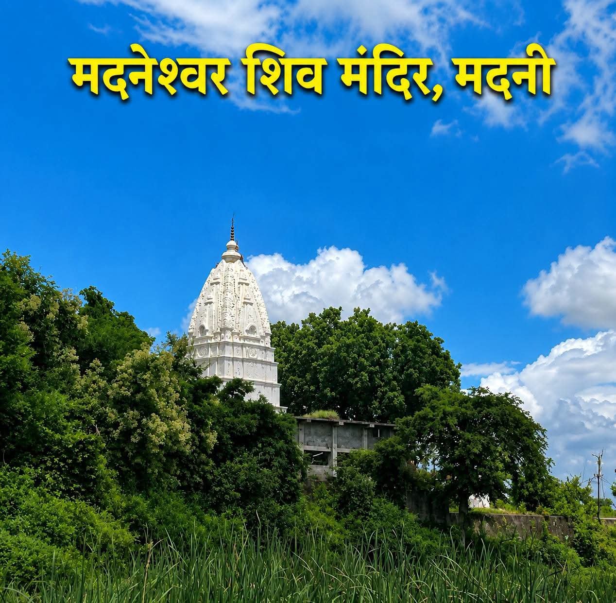 Cover Photo